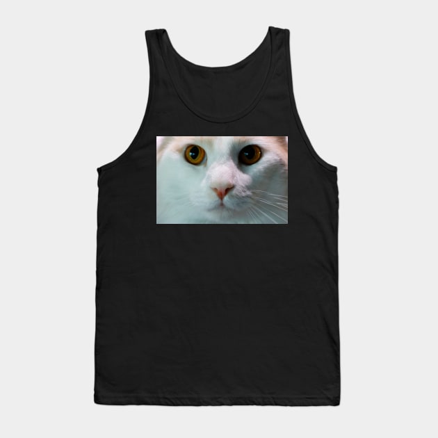 Cat up Close Tank Top by jwwallace